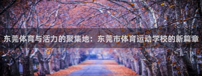 三亿体育网页版