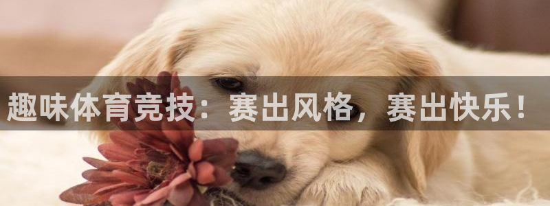 三亿体育网页版