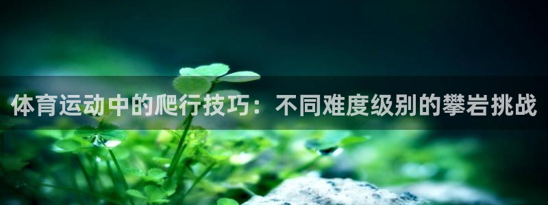 三亿体育网页版
