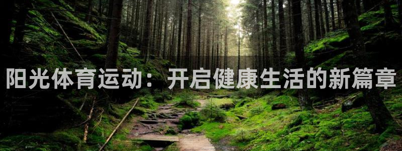 三亿体育网页版