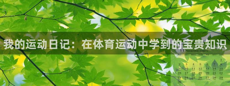 三亿体育登录