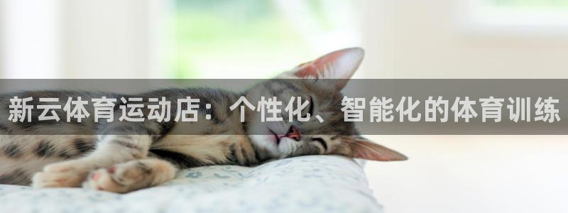 三亿体育登录
