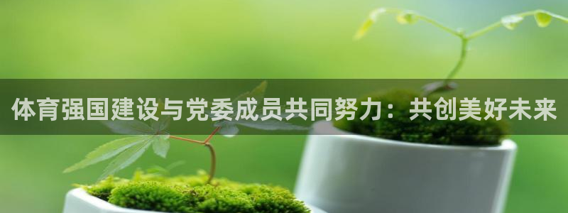 三亿体育网页版