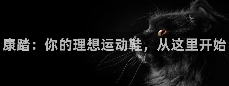 三亿体育网