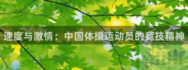 三亿体育网页版