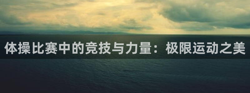 三亿体育