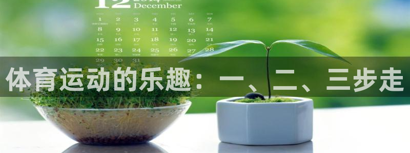 三亿体育网页版