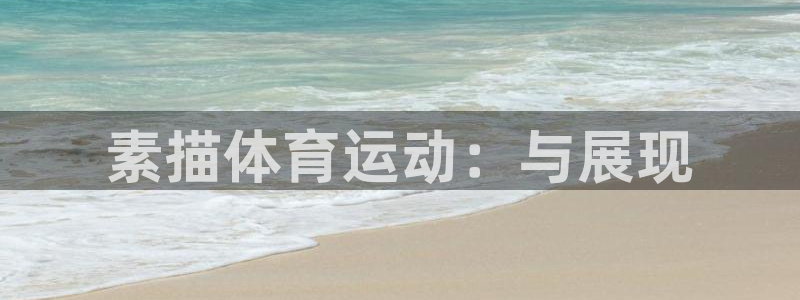 三亿体育网