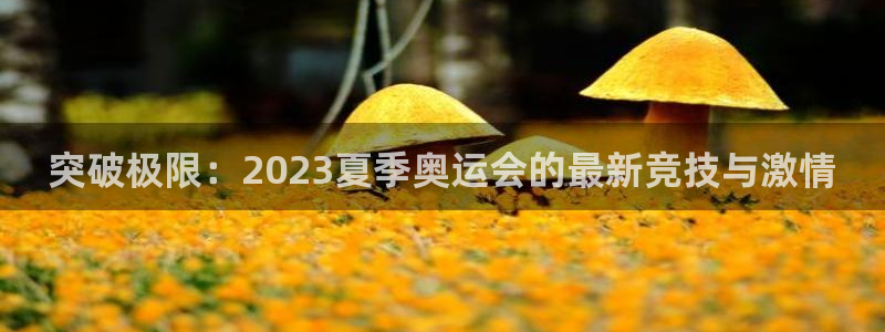 三亿体育登录