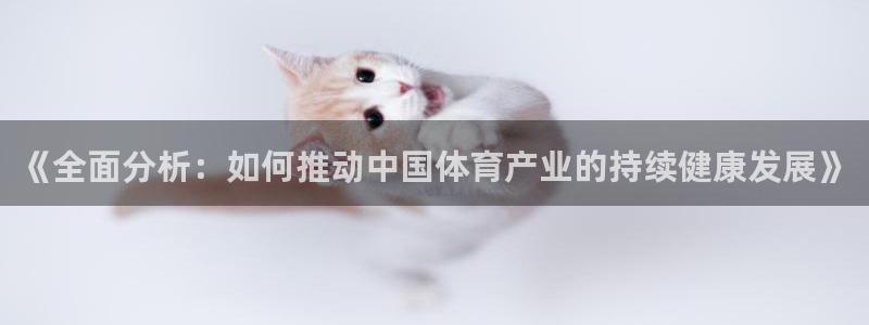 三亿体育