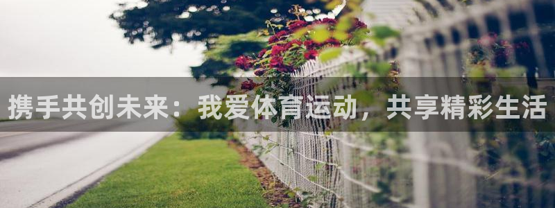 三亿体育网