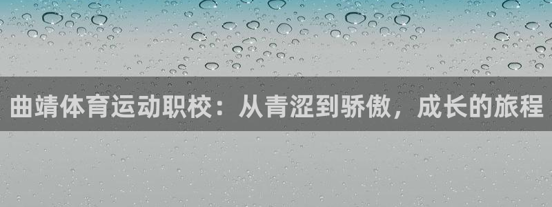 三亿体育网