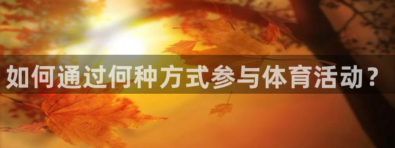 三亿体育网页版