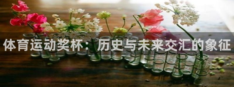 三亿体育